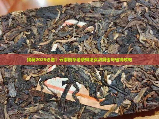 云南班章老茶树坨