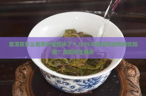 普洱茶怎么看茶叶是否坏了
