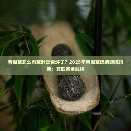 普洱茶怎么看茶叶是否坏了