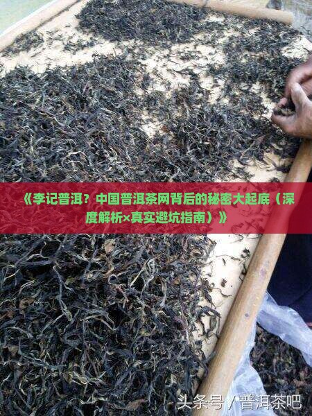 李记普洱中国普洱茶网