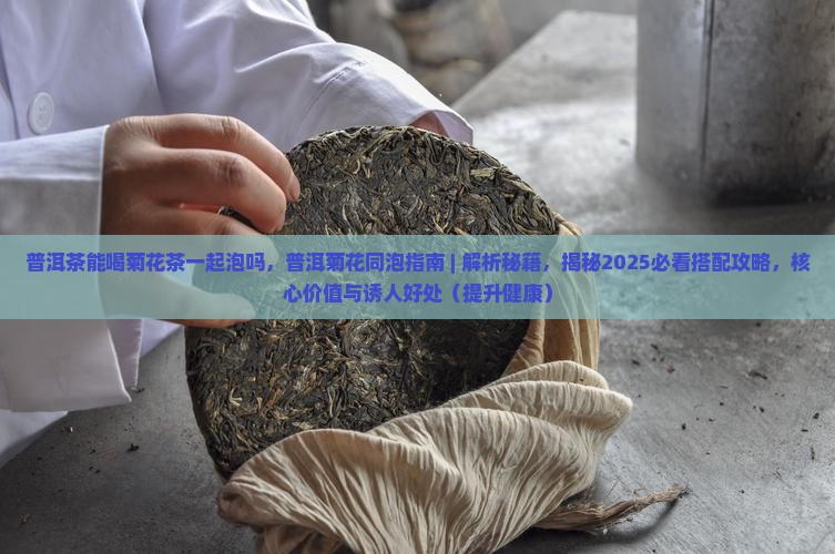 普洱茶能喝菊花茶一起泡吗