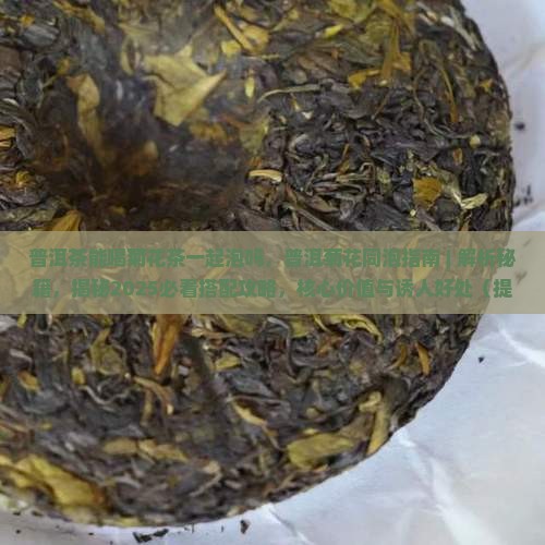 普洱茶能喝菊花茶一起泡吗
