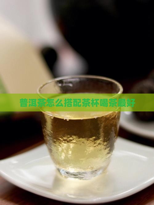 普洱茶怎么搭配茶杯喝茶