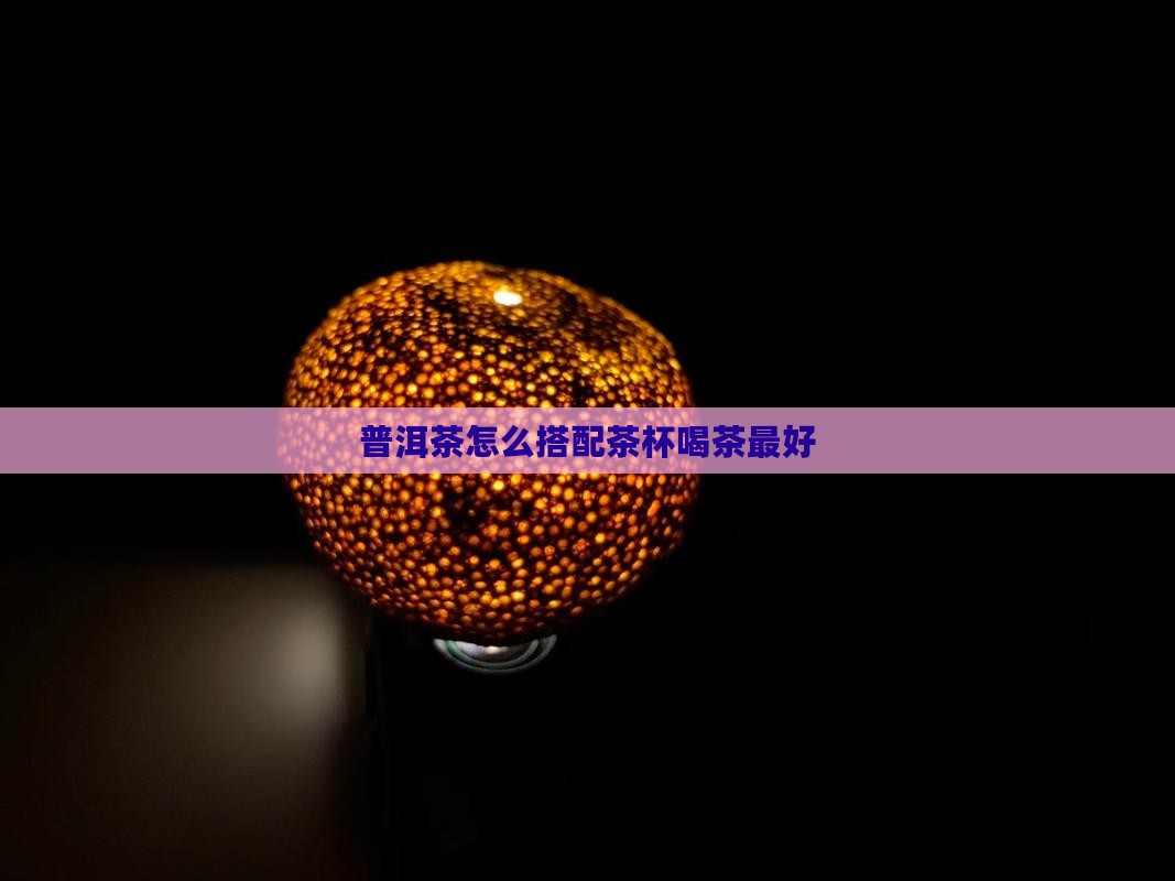 普洱茶怎么搭配茶杯喝茶