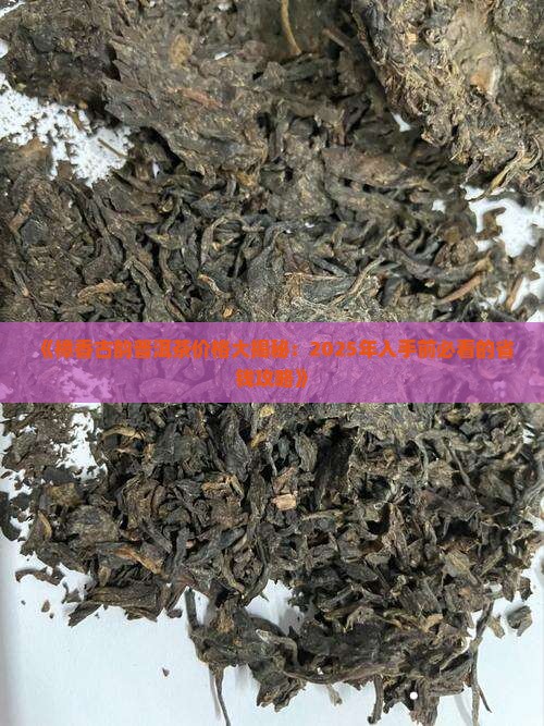 樟香古韵普洱茶价格