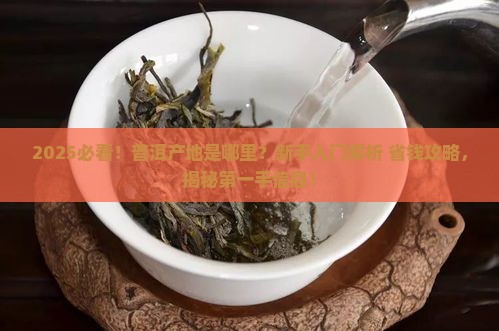 普洱产地是哪个地方