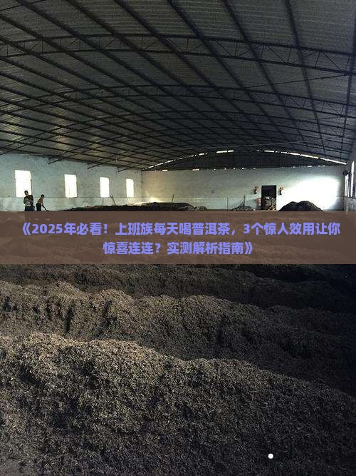 每天喝普洱茶的效用是什么