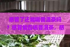 感冒了还能喝普洱茶