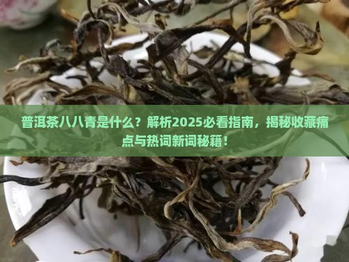 普洱茶八八青是什么