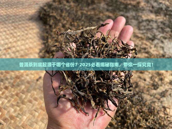 普洱茶起源于哪个省份 普洱茶起源于哪个省份