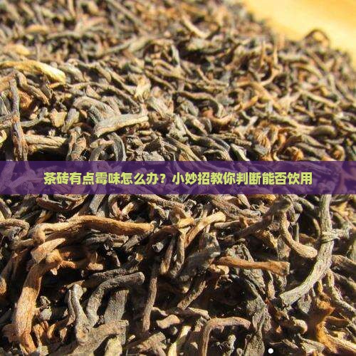 茶砖有点霉味怎么办