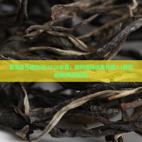 普洱茶代理协议
