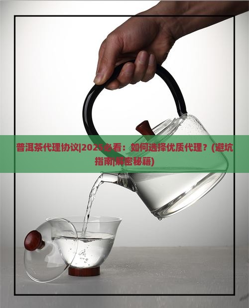 普洱茶代理协议