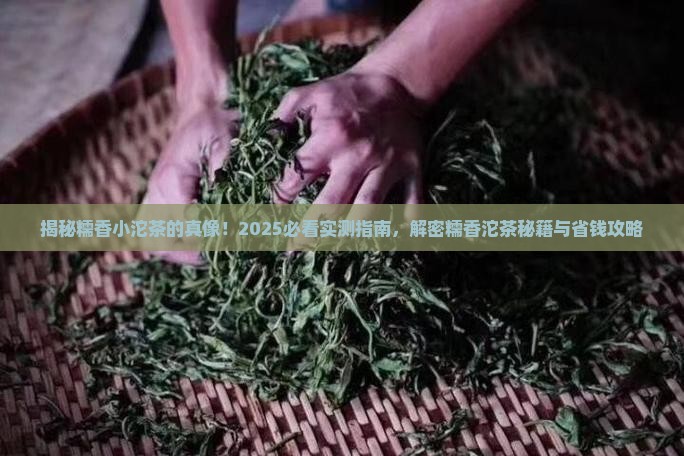 糯香小沱茶是什么茶糯香沱茶介绍