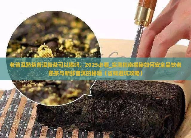 老普洱熟茶普洱新茶可以喝吗