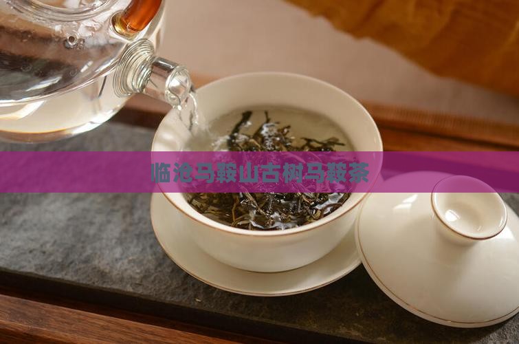 云南马鞍山古树茶