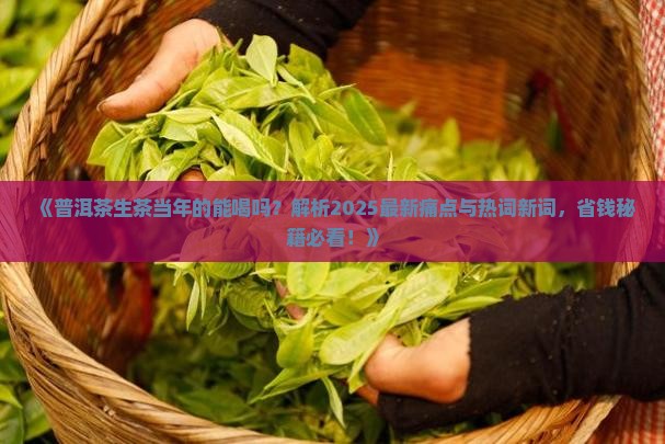 普洱茶生茶当年的能喝吗