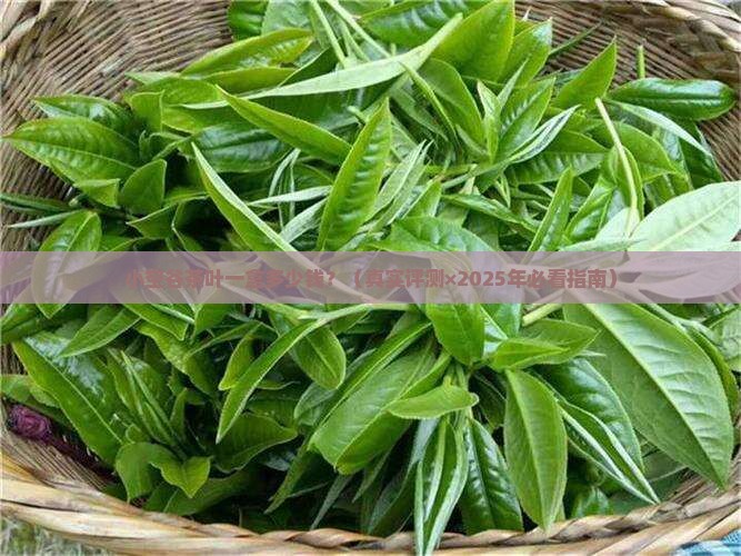 小空谷茶叶多少一盒