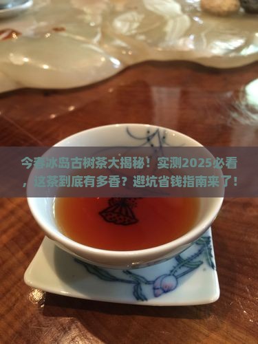 今春的冰岛古树茶