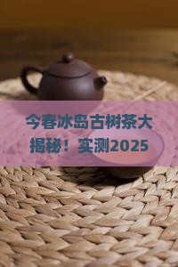 今春的冰岛古树茶