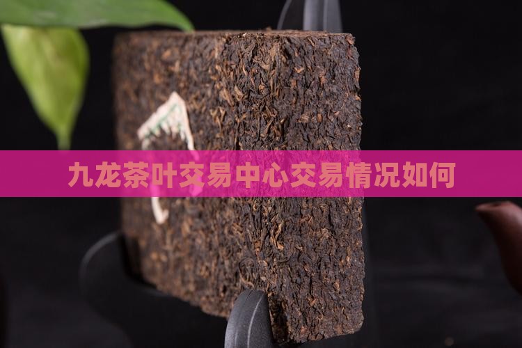 九龙茶叶交易中心怎么样