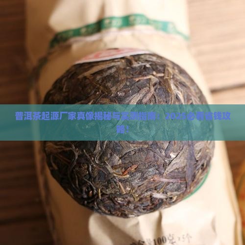 普洱茶起源厂家 普洱茶起源厂家