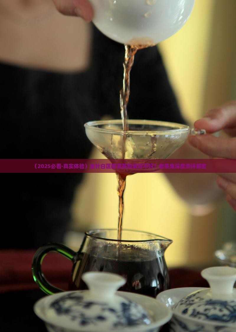 金针白莲普洱茶好皆