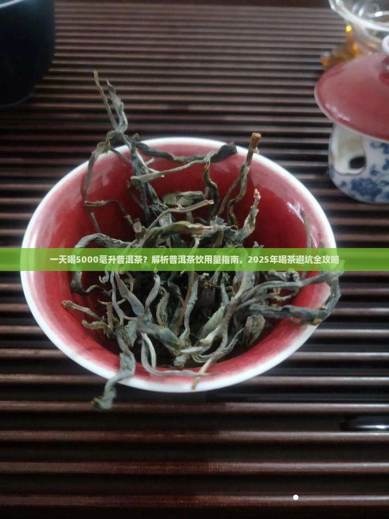 一天喝5000普洱茶