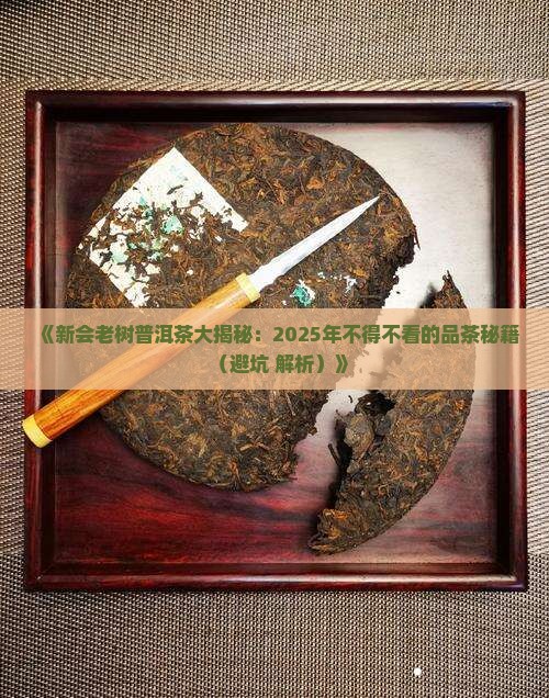 新会老树普洱茶
