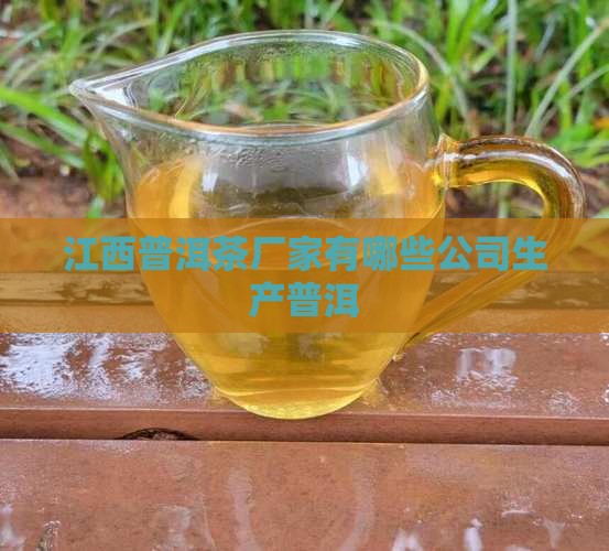 江西熟普洱茶有哪些厂家