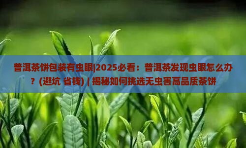 普洱茶饼包装有虫眼