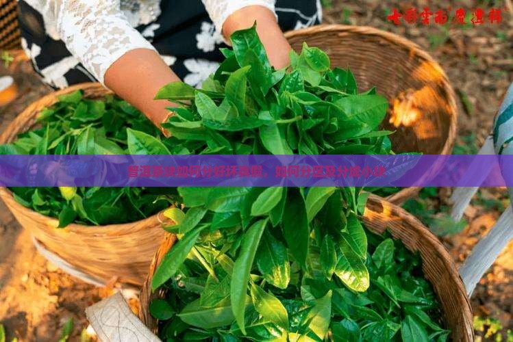 普洱茶块如何分