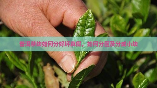 普洱茶块如何分