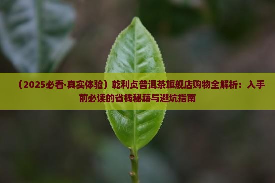 乾利贞普洱茶旗舰店