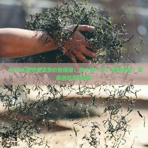 圆饼普洱茶多少钱一斤