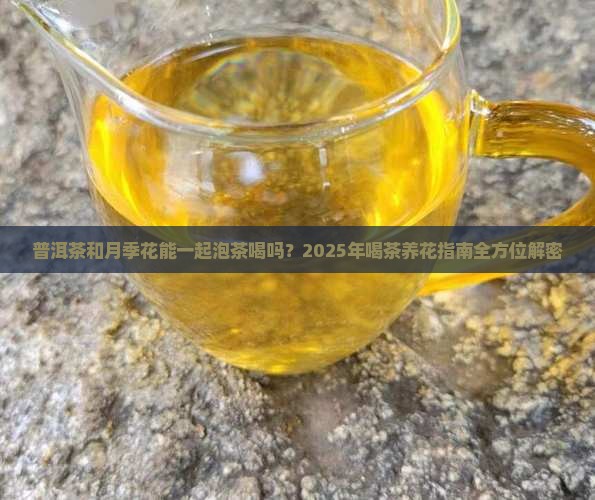 普洱茶和月季花