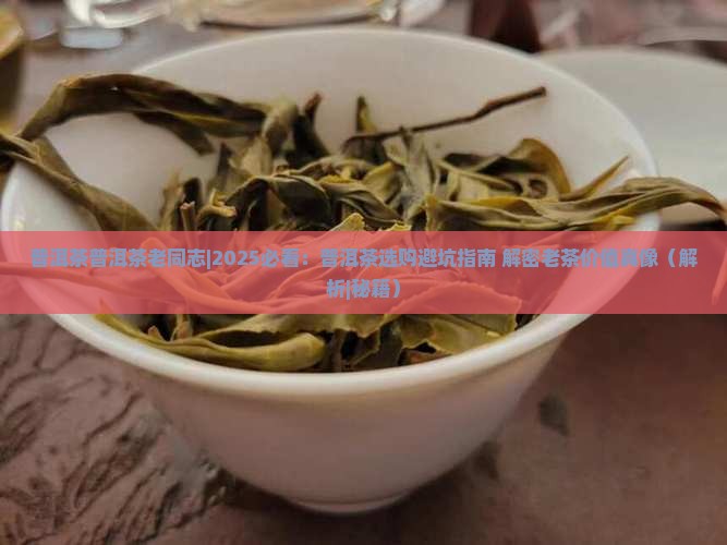 普洱茶普洱茶老同志