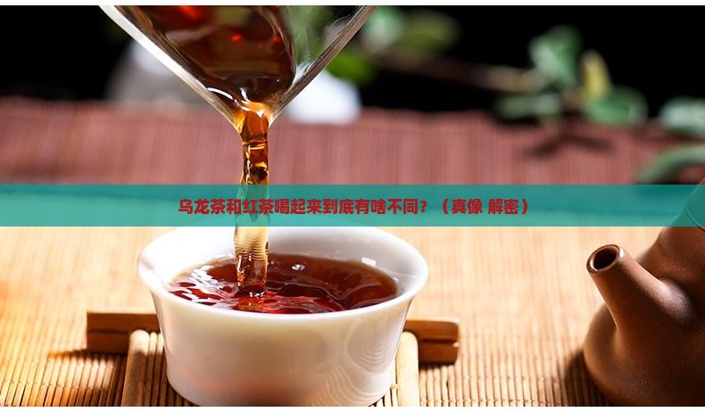乌龙和红茶的味道区别