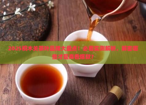 桐木关茶叶品牌有哪些