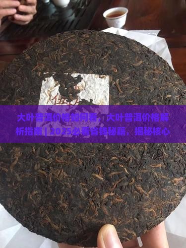大叶普洱价格如何看