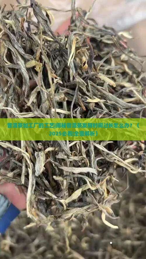 普洱茶加工厂的工艺