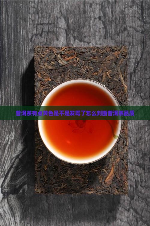 普洱茶有点黄色是不是发霉