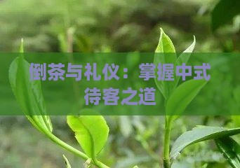 倒茶有什么讲究