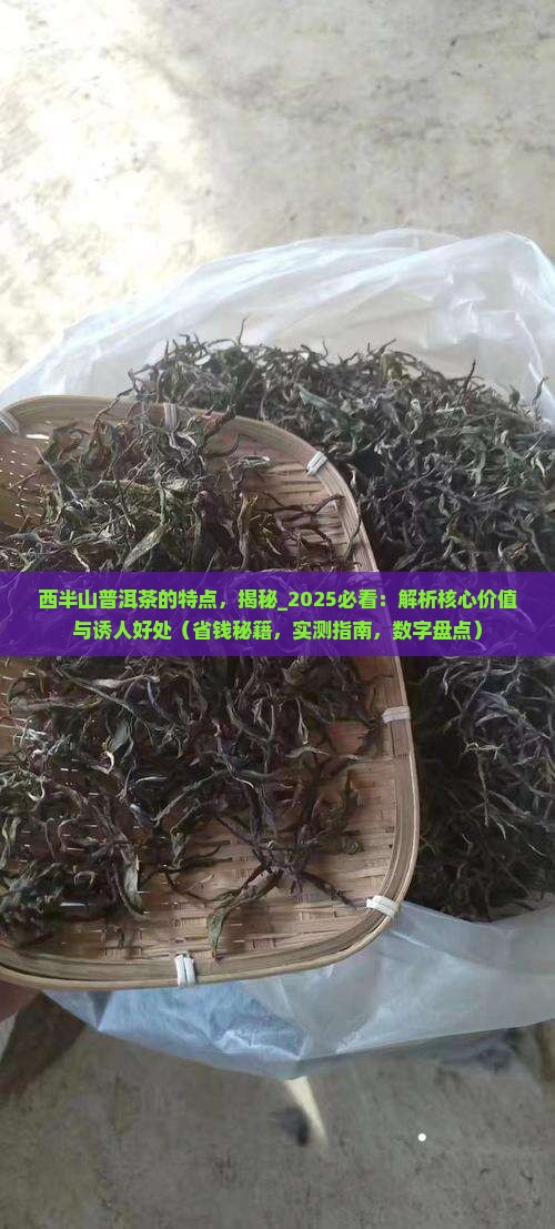西半山普洱茶的特点