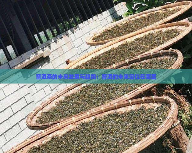 普洱茶的未来定位是哪里