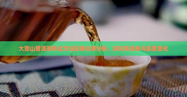 大雪山普洱茶转化 大雪山普洱茶转化