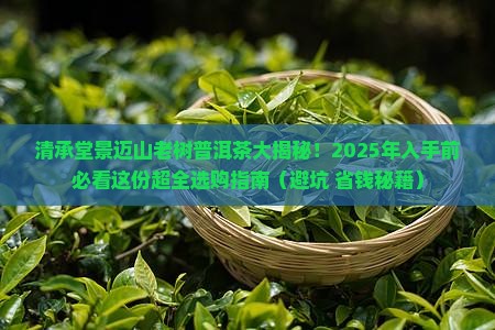 清承堂景迈山老树普洱茶