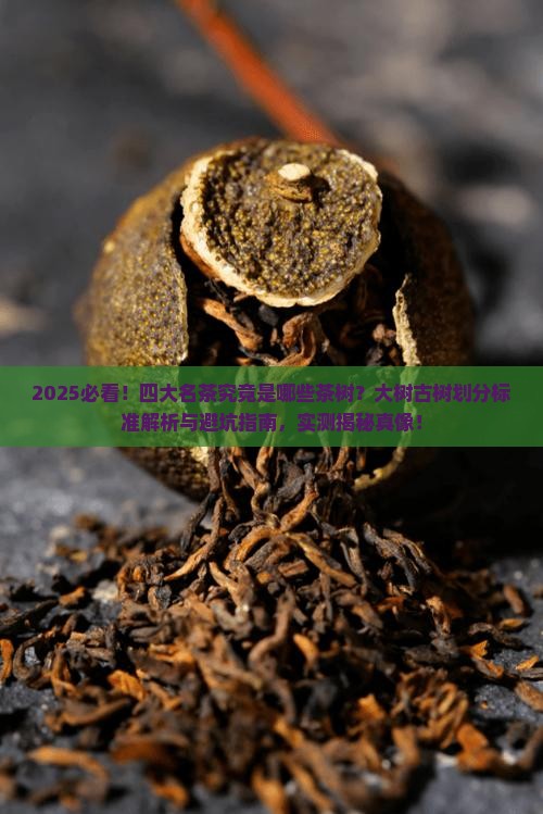 四大名茶是什么茶树大树古树划分