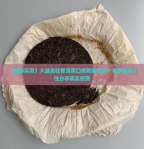 大益龙柱普洱茶怎么样