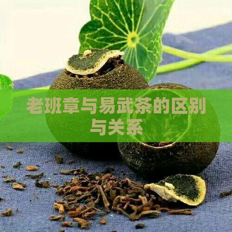 老班章与易武茶